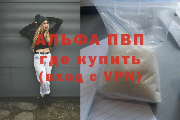 PSILOCYBIN Аркадак