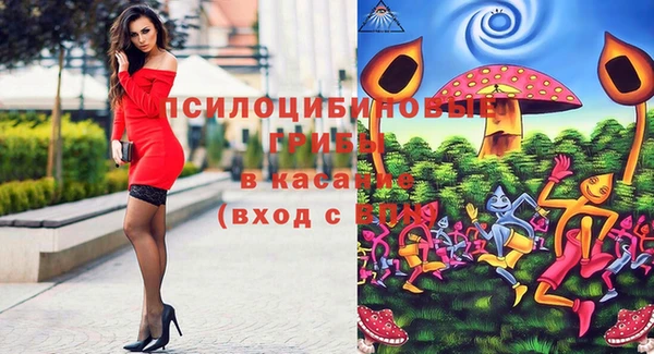 PSILOCYBIN Аркадак